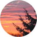 Barbara Shiflett profile picture