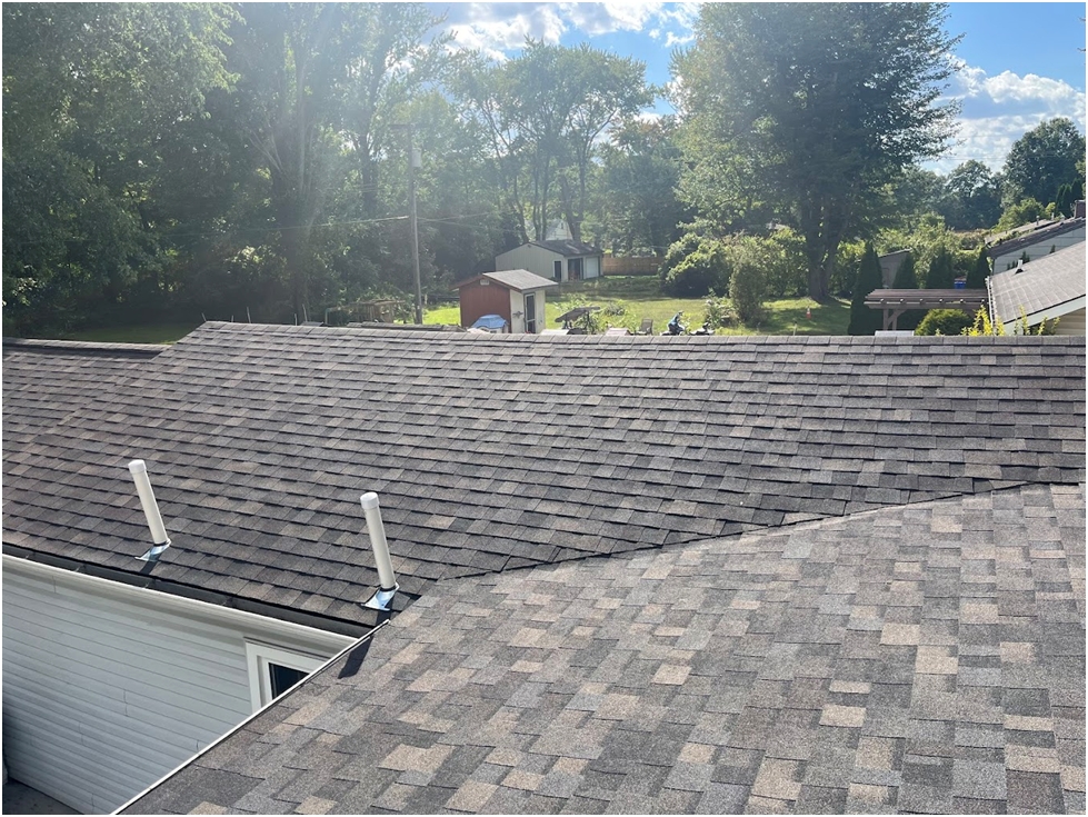 Spot Storm Damage on Your Michigan Roof