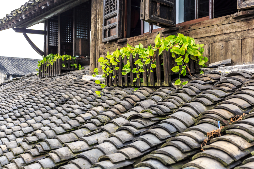 roof-type-images